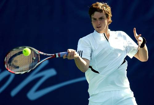 季初期的动 季初期的动