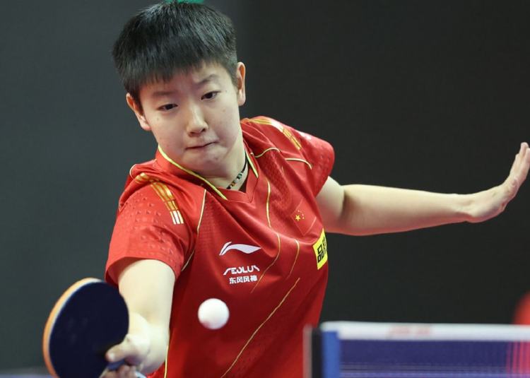 是尼克斯主 是尼克斯主